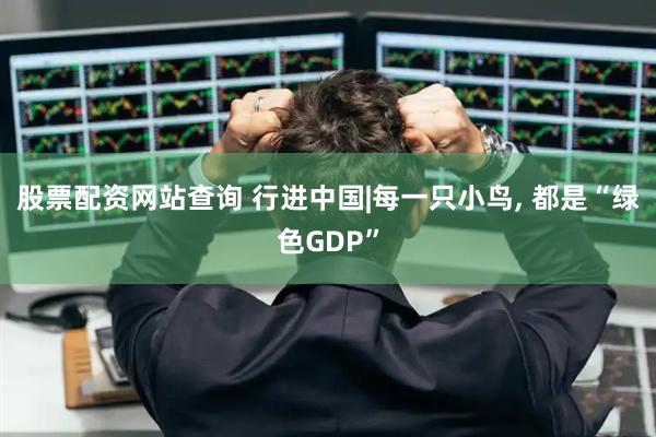 股票配资网站查询 行进中国|每一只小鸟, 都是“绿色GDP”